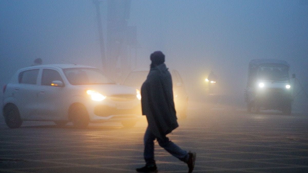 Cold Weather Persists in Punjab, Haryana; Fog Enveloped Many Places