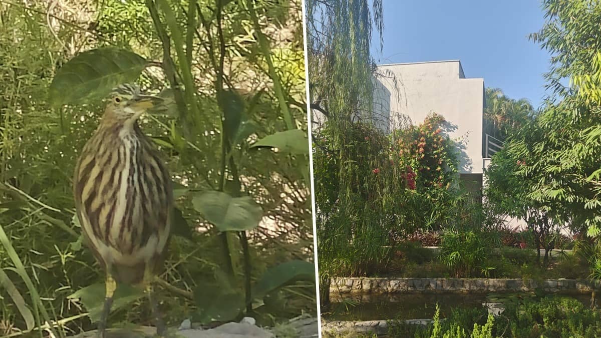 Corbett in Winter: Of Idyllic Setting, Kumaon’s Charm And Lifetime Experience