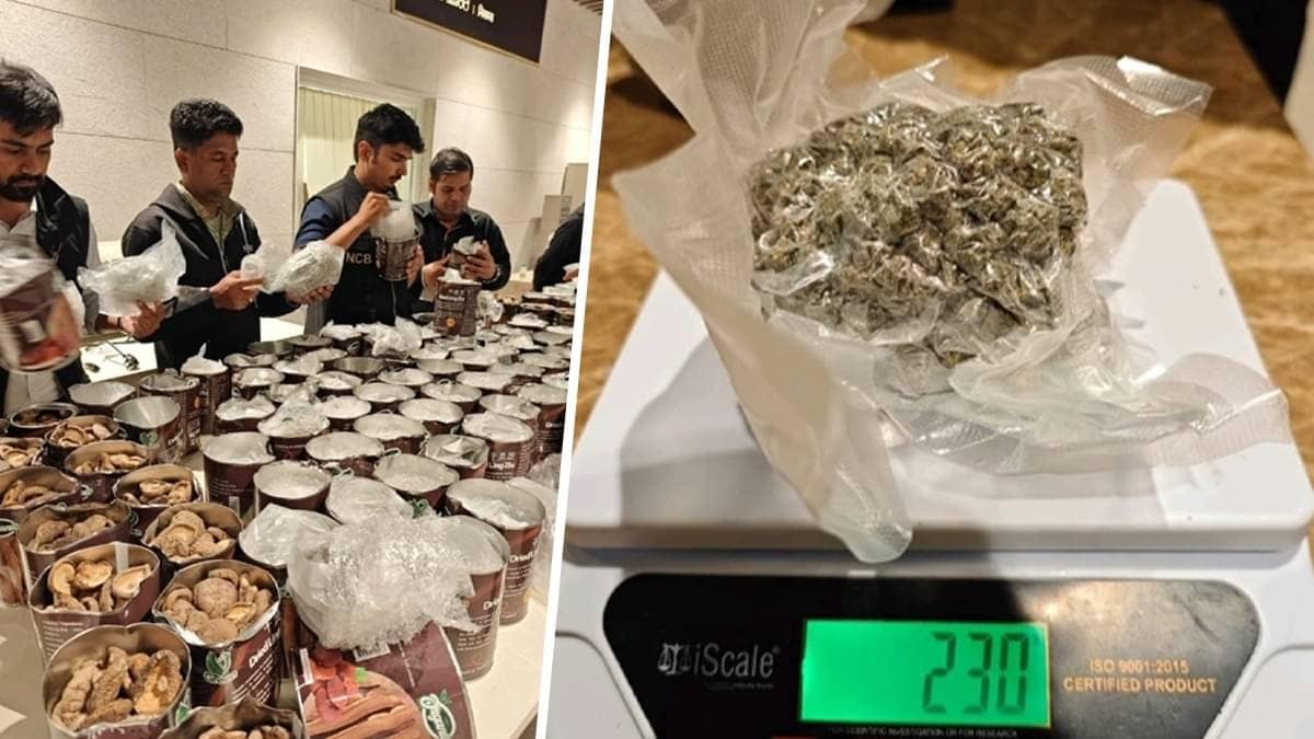 NCB Seizes Rs 50 Crore Worth Of Hydro Ganja And Psilocybin Mushrooms At Bengaluru Airport