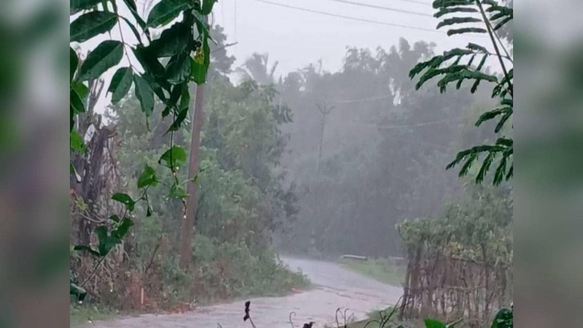 IMD Predicts Light To Moderate Rain, Thunderstorms In Kanyakumari, Other Districts In Tamil Nadu: Check Forecast