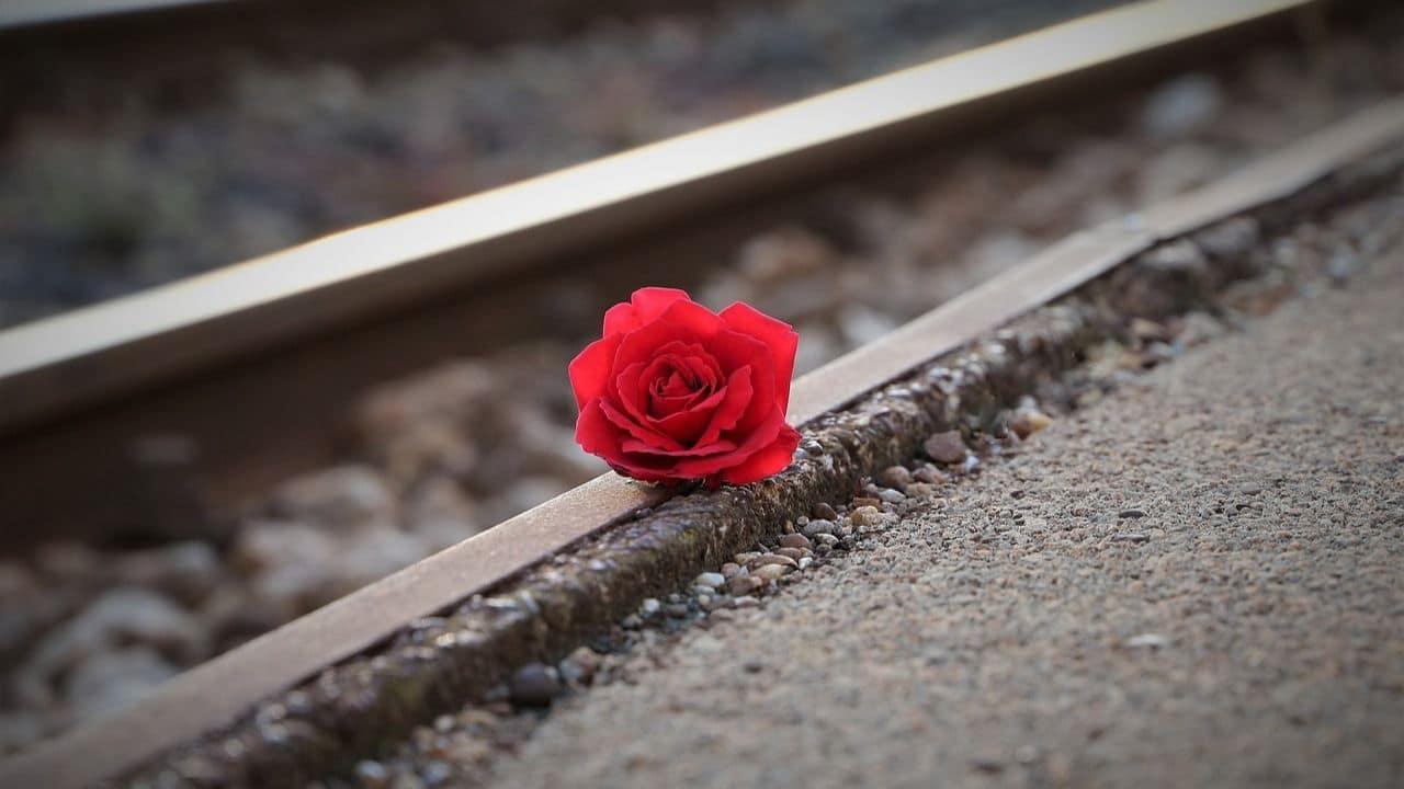 Class 9 Student Kills Self After Mother Sells His Bike, Googles ‘What Happens After Death?’