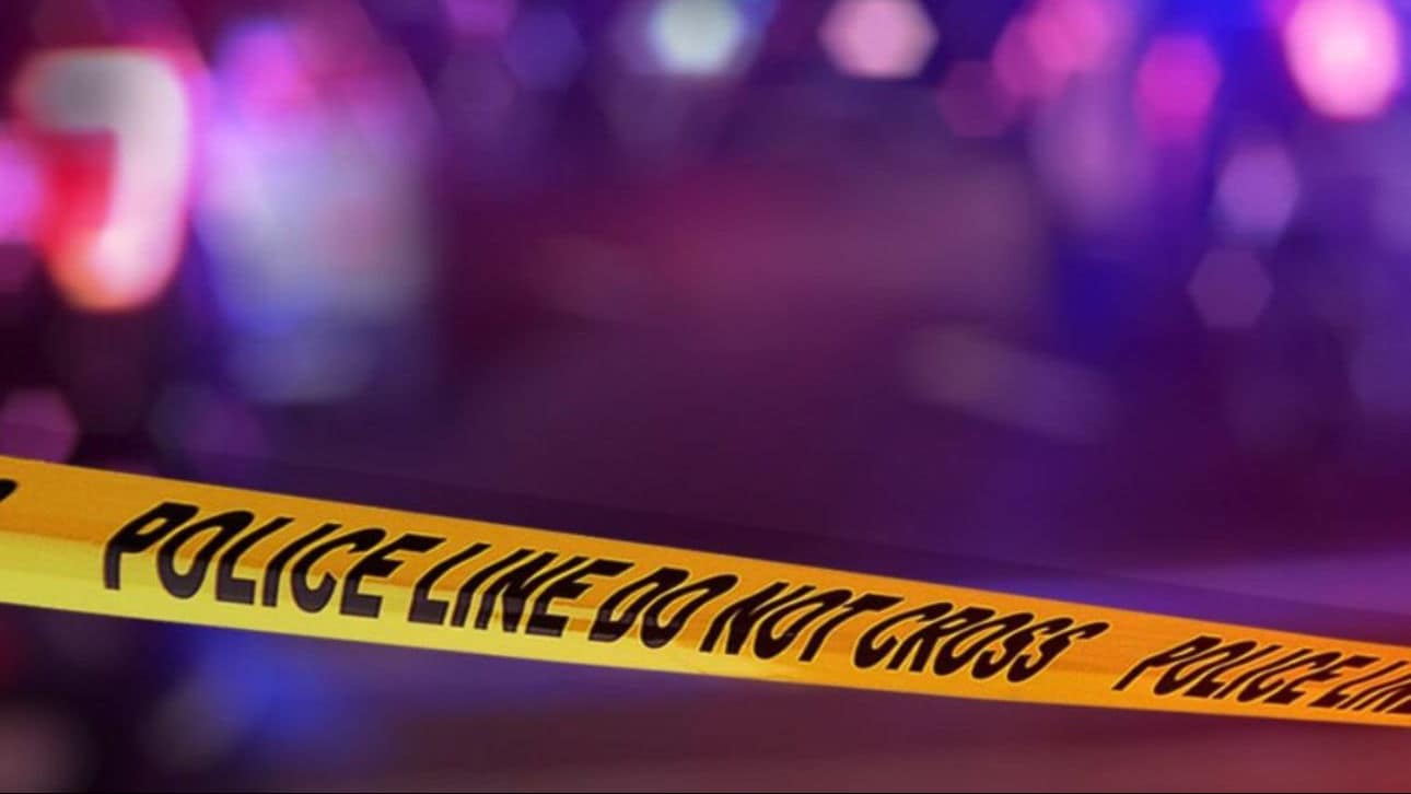 Hyderabad Man Murders Wife, Cooks Body Parts in Pressure Cooker