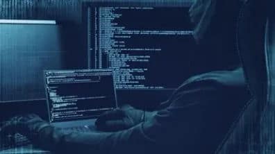 Delhi: Dark Web Drug Cartel Busted, Hydroponic Weed Worth Rs 2.1 Crore Seized