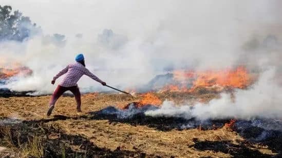 Punjab Reports 345 Fresh Farm Fires Cases, Takes Total Count Past 6,500