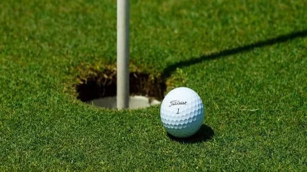 Sneha, Avani miss out as Indian-American Gurleen moves ahead at LPGA Q-Series