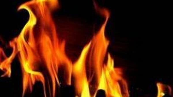 Ten Dogs Charred to Death in House Fire in MP’s Jabalpur
