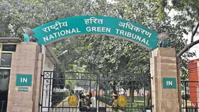 NGT Dismisses Plea Over Star Rating For Vehicles Based on Fuel Efficiency, CO2 Emission